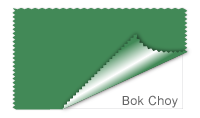 Bok Choy