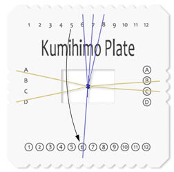 Top-down view of instructed step
