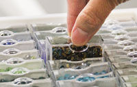 Bead storage solutions