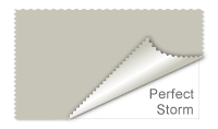Perfect Storm