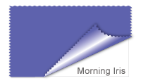 Morning Iris #6063AA