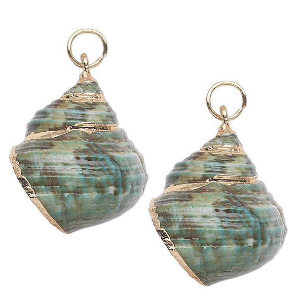 Drop, turban shell (natural) and gold-finished steel, green / brown / white, 27x21mm. Sold per pkg of 2. image number 0