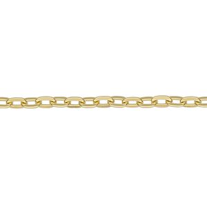 Chain, anodized aluminum, gold, 3.1mm flat cable. Sold per pkg of 25 feet.