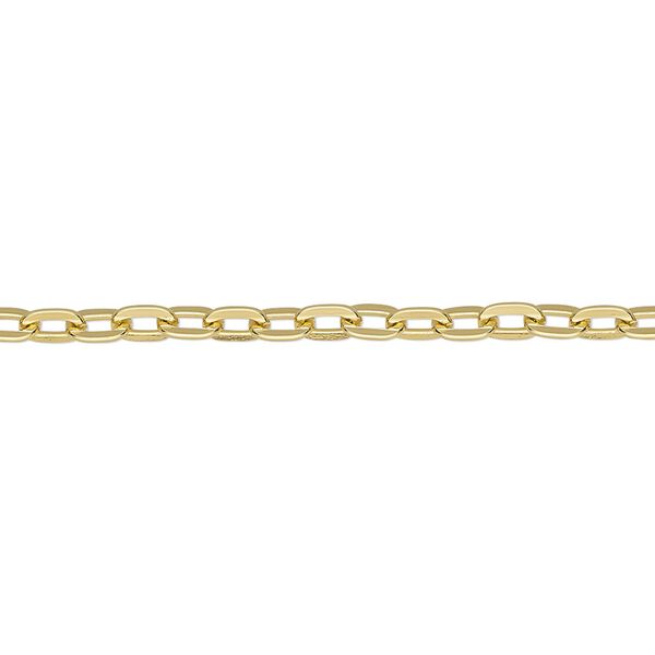 Chain, anodized aluminum, gold, 3.1mm flat cable. Sold per pkg of 25 feet. image number 0
