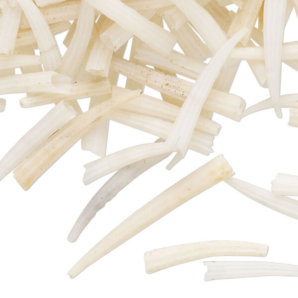 Component mix, Dentalium shell (bleached), 15-30mm undrilled. Sold per 1-ounce pkg, approximately 225-255 shells. image number 0