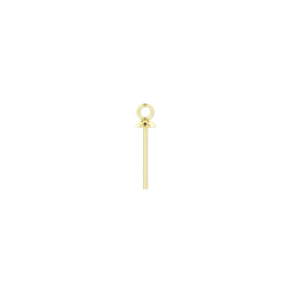 Head pin, 14Kt gold-filled, 24 gauge, 1/2 inch long, cup with ring. Sold per pkg of 4. image number 0