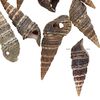 Drop mix, Japanese false cerith shell (natural), 24x8mm-31x10mm, Mohs hardness 3-1/2. Sold per pkg of 10. image number 0