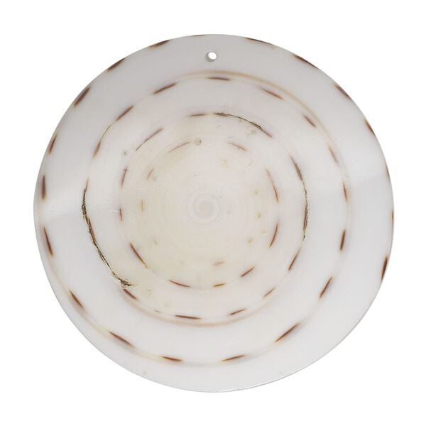Focal, lettered cone shell (natural), white, 35mm top-drilled round, Mohs hardness 3-1/2. Sold individually. image number 0