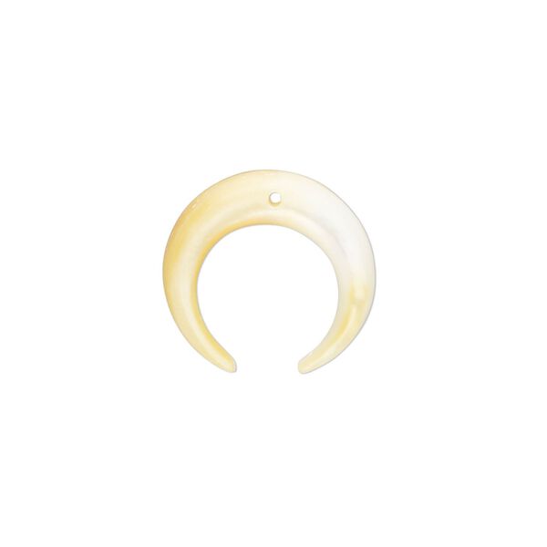 Gold lip shell 1pkg1, naja drop natural 17x17mm image number 0