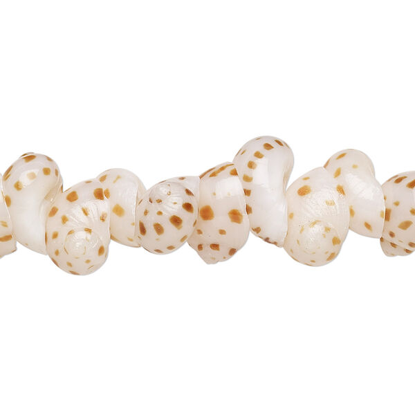 Bead, tiger moon snail shell (natural), 12x6mm-15x8mm shell, Mohs hardness 3-1/2. Sold per 15-1/2" to 16" strand. image number 0