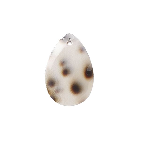 Drop, tiger cowrie shell (natural), 22x16mm teardrop, Mohs hardness 3-1/2. Sold per pkg of 4. image number 0