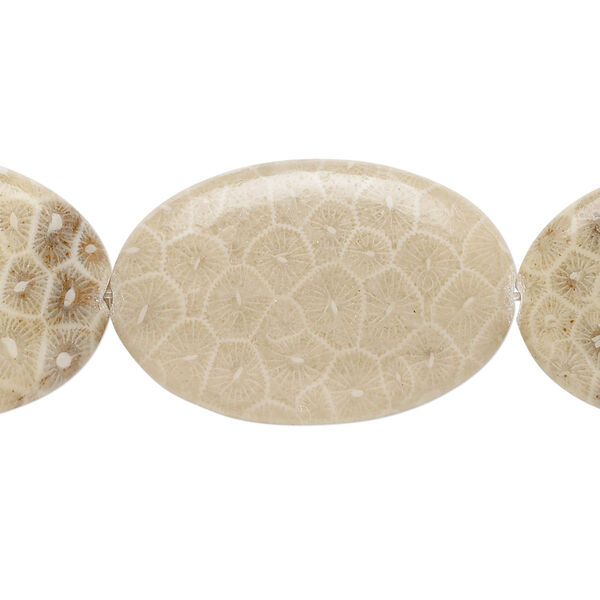Bead, fossil coral (natural), 30x20mm flat oval, B grade, Mohs hardness 6-1/2 to 7. Sold per 15-1/2" to 16" strand. image number 0