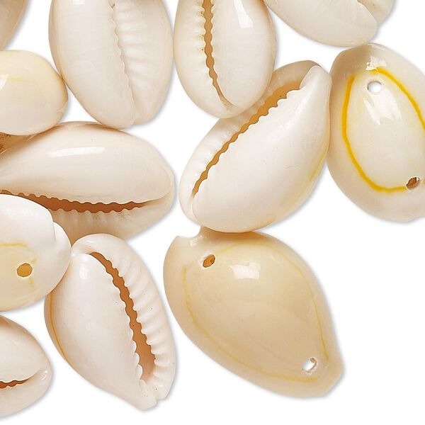 Bead, cowrie shell (natural), 15x7mm-25x12mm double-drilled, Mohs hardness 3-1/2. Sold per 130-gram pkg. image number 0
