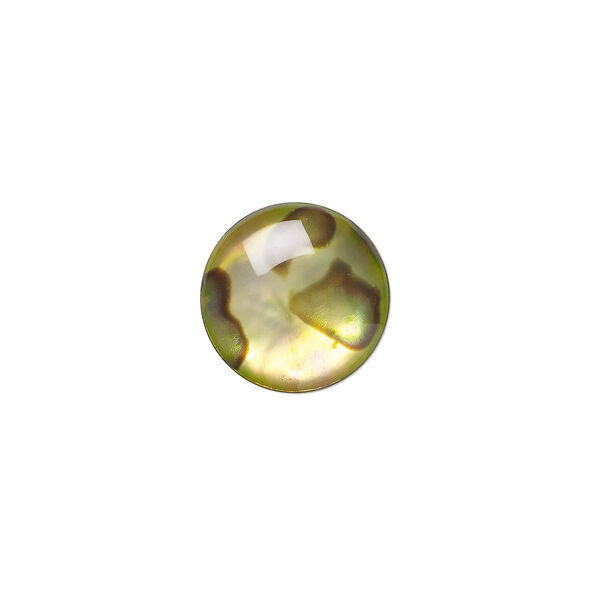 Cabochon, paua shell (coated / dyed), gold, 12mm calibrated round, Mohs hardness 3-1/2. Sold per pkg of 4. image number 0