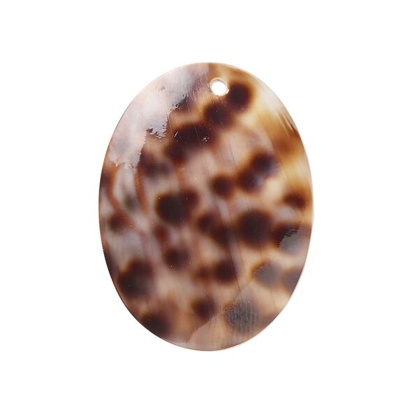 Focal, tiger cowrie shell (natural), 30x22mm oval Mohs hardness 3-1/2. Sold individually. image number 0