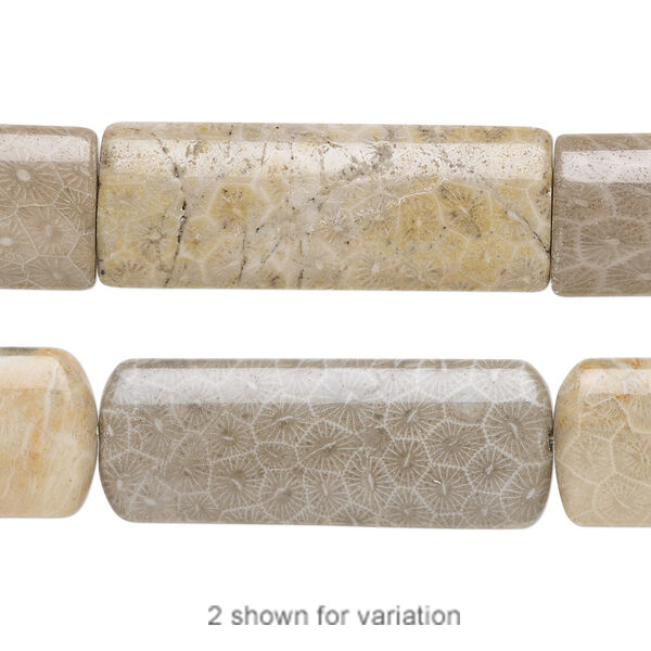Bead, fossil coral (natural), 40x15mm puffed rectangle, B grade, Mohs hardness 6-1/2 to 7. Sold per 15-1/2" to 16" strand. image number 0