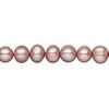 Freshwater pearl 1pkg1, semi-round, 15 inch dusty rose 7-8mm cultured image number 0