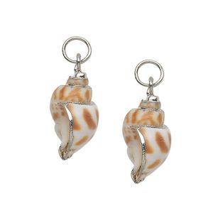 Drop, areola shell (natural) and silver-plated steel, 23x12mm. Sold per pkg of 2.