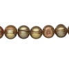 Freshwater pearl 1pkg1, semi-round, 15 inch iris gold 7-9mm cultured image number 0