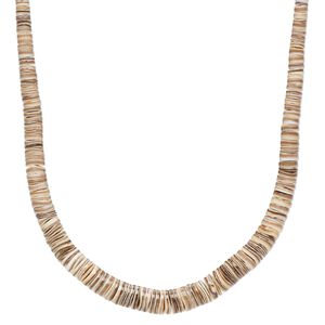 Bead, bat volute shell (natural), 3x2mm-8x3mm hand-cut graduated heishi, Mohs hardness 3-1/2. Sold per 18-inch strand.