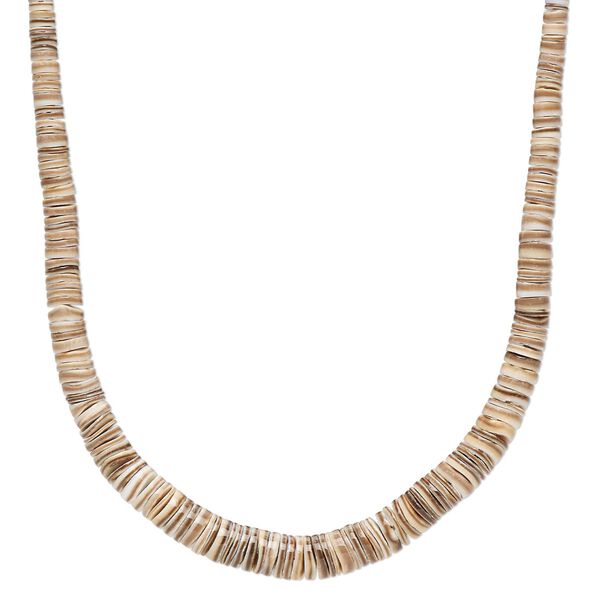 Bead, bat volute shell (natural), 3x2mm-8x3mm hand-cut graduated heishi, Mohs hardness 3-1/2. Sold per 18-inch strand. image number 0