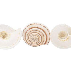 Bead, sundial shell (natural), 22x21x11mm-29x25x10mm round, Mohs hardness 3-1/2. Sold per 15-1/2" to 16" strand.