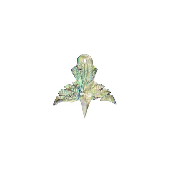 Paua shell 1pkg1, carved raven drop natural 16x16mm image number 0