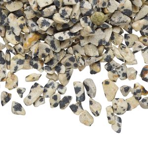 Dalmatian jasper 1pkg1, undrilled tumble polished inlay chip natural 2 oz mini