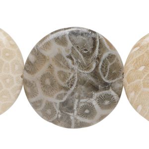 Fossil coral 1pkg1, flat round bead natural 15.5-16 inch 30mm