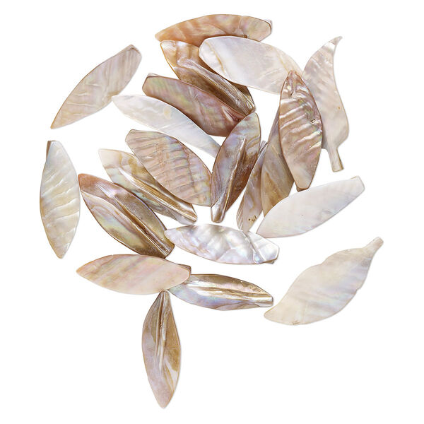 Focal, mother-of-pearl shell (natural / bleached), 38x11mm-65x22mm leaf, Mohs hardness 3-1/2. Sold per pkg of 20. image number 0