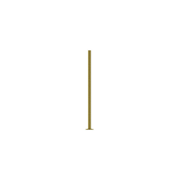 Head pin, antique brass-plated steel, 3/4 inch, 21 gauge. Sold per pkg of 500. image number 0