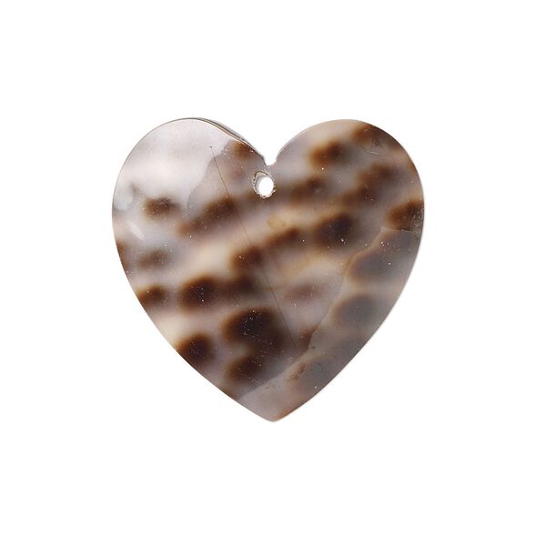 Drop, tiger cowrie shell (natural), 24x25mm heart, Mohs hardness 3-1/2. Sold per pkg of 4. image number 0
