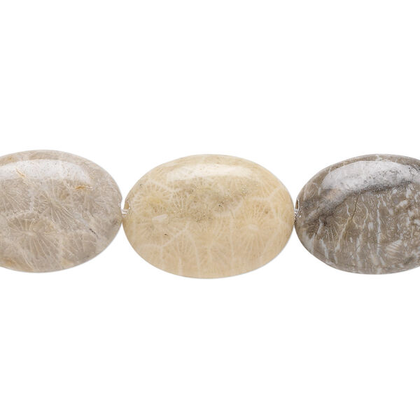 Bead, brown fossil coral (natural), 18x13mm flat oval, B grade, Mohs hardness 6-1/2 to 7. Sold per 15-1/2" to 16" strand. image number 0