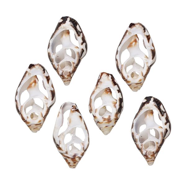 Component, tiger nassa shell (natural), 14x8mm-18x12mm hand-cut cross section, Mohs hardness 3-1/2. Sold per pkg of 6. image number 0