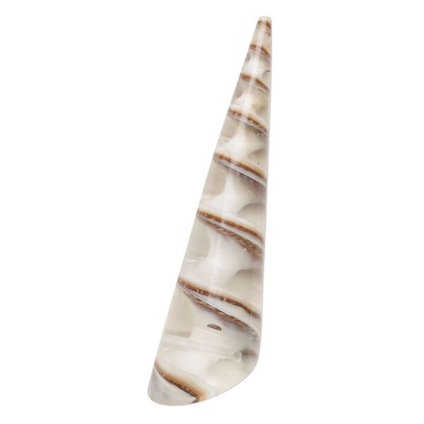 Focal, screw turritella shell (assembled), clear, 40x10mm top-drilled cone, Mohs hardness 3-1/2. Sold individually. image number 0