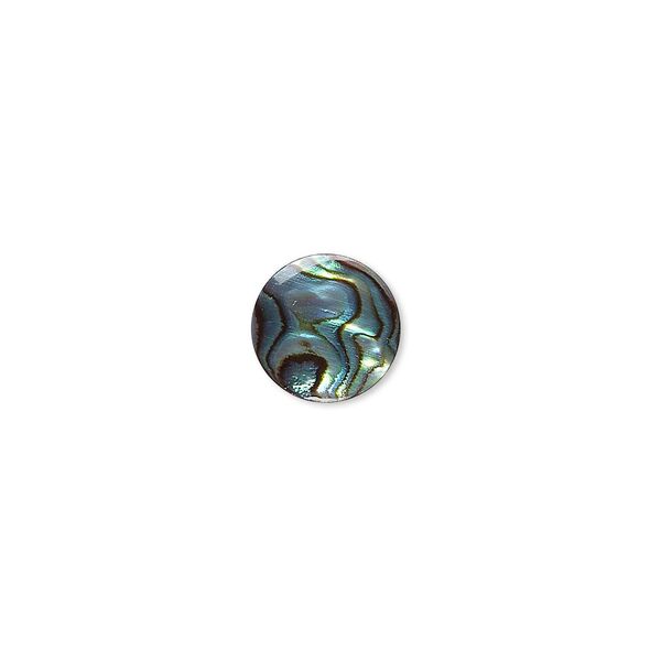 Cabochon, paua shell (coated), 10mm calibrated round, Mohs hardness 3-1/2. Sold per pkg of 6. image number 0
