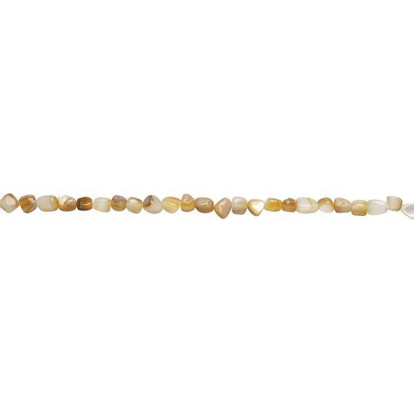 Black lip / gold lip / mother-of-pearl shell 1pkg1, nugget bead 15 inch mini to small image number 1