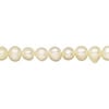 Freshwater pearl 1pkg1, semi-round, 15 inch daffodil 6-7mm cultured image number 0