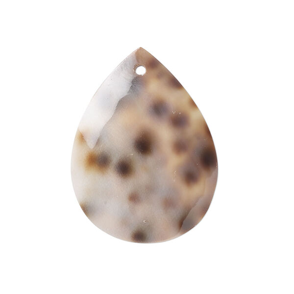 Focal, tiger cowrie shell (natural), 30x22mm teardrop Mohs hardness 3-1/2. Sold per pkg of 2. image number 0