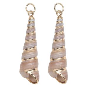 Focal, tower shell (natural) and gold-finished steel, white and tan, 32x10mm-40x12mm shell, Mohs hardness 3-1/2. Sold per pkg of 2.