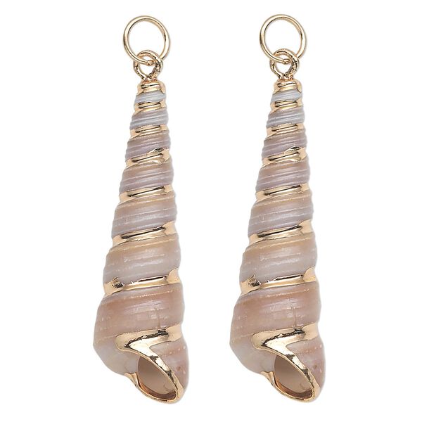 Focal, tower shell (natural) and gold-finished steel, white and tan, 32x10mm-40x12mm shell, Mohs hardness 3-1/2. Sold per pkg of 2. image number 0