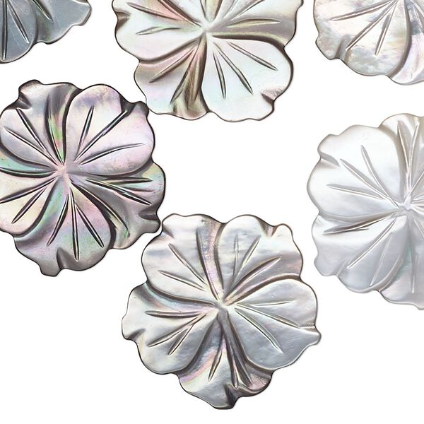 Component mix, black lip shell (natural), 20-21mm undrilled carved flower. Mohs hardness 3-1/2. Sold per pkg of 10. image number 0