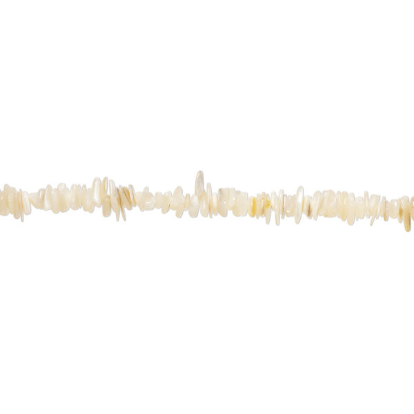 Bead 1pkg1, black lip shell / gold lip shell / mother-of-pearl shell (natural / bleached), medium to large chip, 15 inches. image number 1