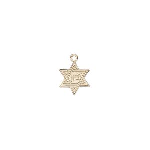 Drop, 14Kt gold-filled, 10x9mm Star of David. Sold individually.