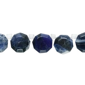 Sodalite 1pkg1, top-drilled faceted flat round bead natural 15.5-16 inch 10mm