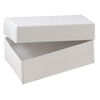 Box 1pkg10, paper and "cotton" filled, white, 2-1/2 x 1-1/2 x 7/8 inches rectangle image number 1