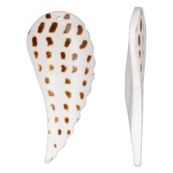 Focal, tiger cowrie shell (natural), 55x24mm-56x25mm single-sided hand-cut carved wing, Mohs hardness 3-1/2. Sold individually. image number 0