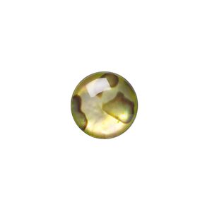 Cabochon, paua shell (coated / dyed), gold, 12mm calibrated round, Mohs hardness 3-1/2. Sold per pkg of 4.