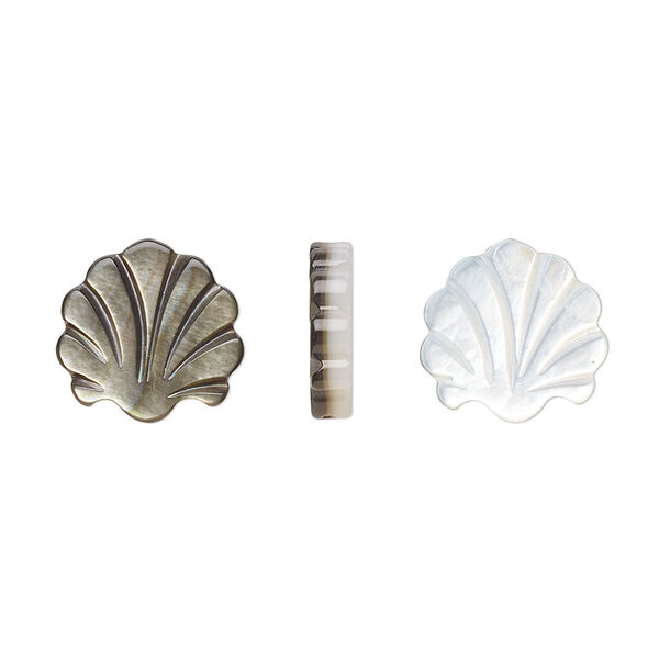 Bead, black lip shell (natural), 13x12mm shell, Mohs hardness 3-1/2. Sold per pkg of 2. image number 0