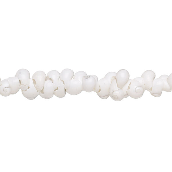 Bead, mongo shell (bleached), 5x3mm-7x4mm shell, Mohs hardness 3-1/2. Sold per 34-inch strand. image number 0